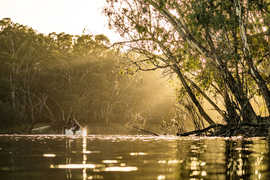 Riverina Council upgrades tech to deliver for community - TechnologyOne
